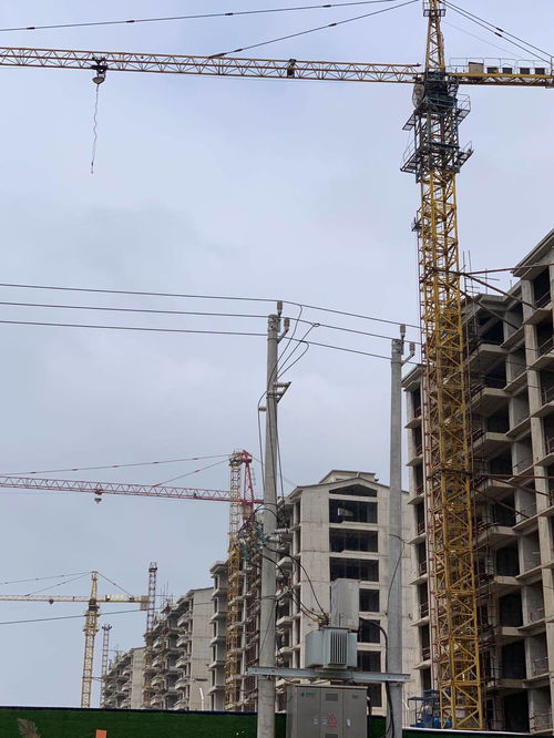 案例分析 裕鴻公司拖欠工程機(jī)械 塔吊 租賃費哪個部門管